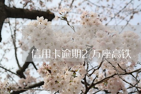 信用卡逾期2万座高铁 信用卡逾期2万座高铁
