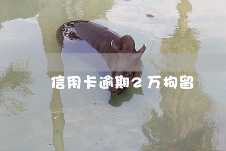 信用卡逾期2万拘留