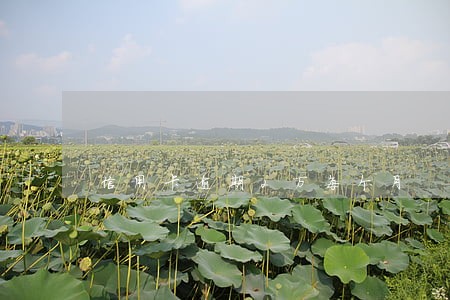 信用卡逾期2万每个月 信用卡逾期2万每个月