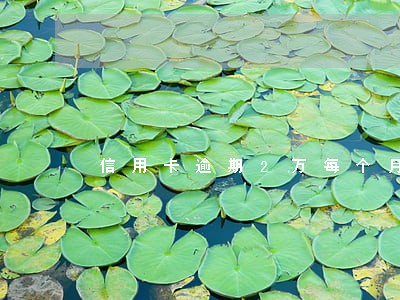 信用卡逾期2万每个月还一千