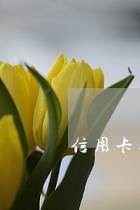 信用卡逾期2万每月还一点 信用卡逾期2万每月还一点