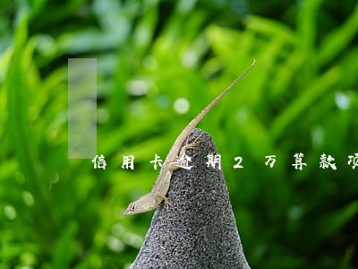 信用卡逾期2万算款项较大吗