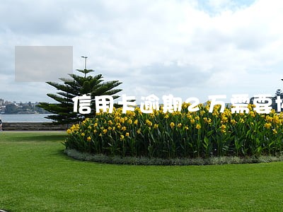 信用卡逾期2万需要协商吗 信用卡逾期2万需要协商吗