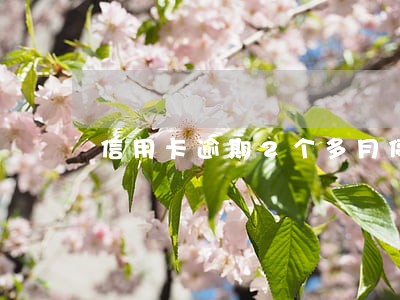 信用卡逾期2个多月停卡 信用卡逾期2个多月停卡