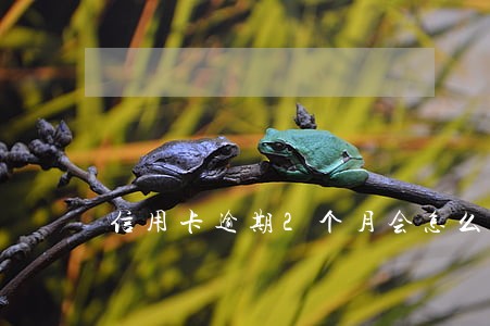 信用卡逾期2个月会怎么办