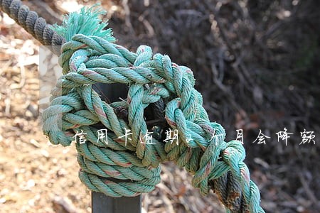信用卡逾期2个月会降额度 信用卡逾期2个月会降额度