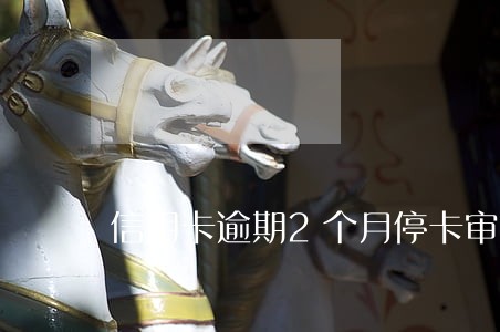 信用卡逾期2个月停卡审核