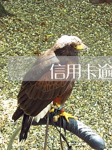 信用卡逾期2个月催收吗 信用卡逾期2个月催收吗