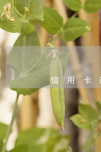 信用卡逾期2个月全部还清