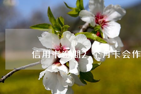 信用卡逾期2个月卡会作费吗 信用卡逾期2个月卡会作费吗