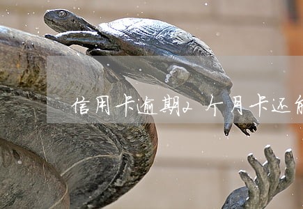 信用卡逾期2个月卡还能用么 信用卡逾期2个月卡还能用么