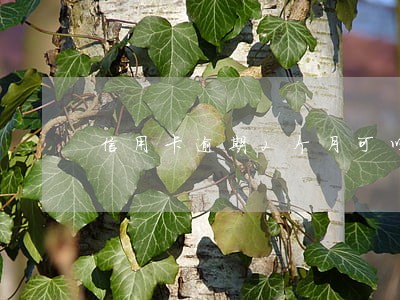 信用卡逾期2个月可以买房么 信用卡逾期2个月可以买房么