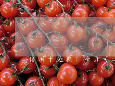 信用卡逾期2个月可以先还一半吗 信用卡逾期2个月可以先还一半吗
