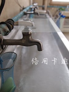 信用卡逾期2个月可以办信用卡 信用卡逾期2个月可以办信用卡