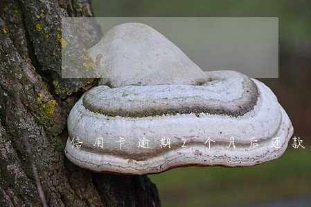 信用卡逾期2个月后还款吗 信用卡逾期2个月后还款吗