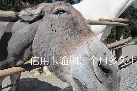 信用卡逾期2个月多久上门 信用卡逾期2个月多久上门