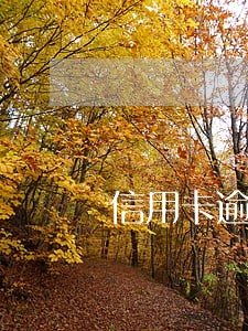 信用卡逾期2个月天天催