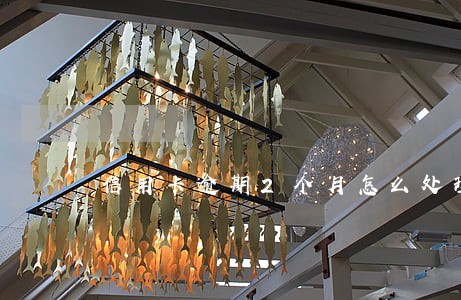 信用卡逾期2个月怎么处理 信用卡逾期2个月怎么处理