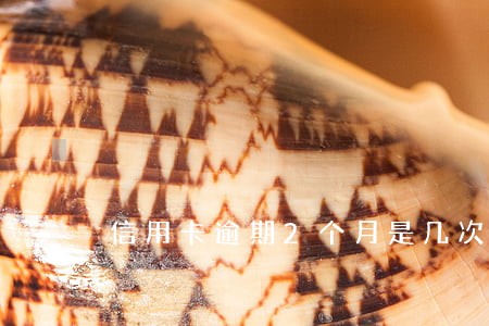 信用卡逾期2个月是几次呀 信用卡逾期2个月是几次呀