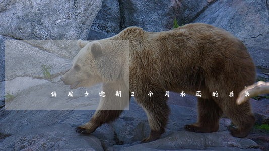 信用卡逾期2个月未还的后果 信用卡逾期2个月未还的后果