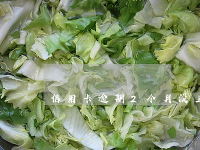 信用卡逾期2个月没上征信
