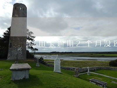 信用卡逾期2个月没还怎么办 信用卡逾期2个月没还怎么办