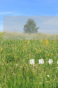 信用卡逾期2个月被冻结了还能解冻吗