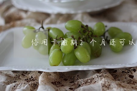 信用卡逾期2个月还可以协商不 信用卡逾期2个月还可以协商不