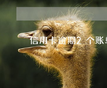 信用卡逾期2个账单期