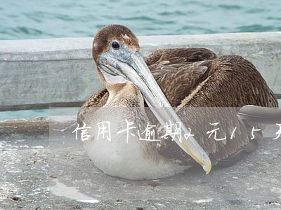 信用卡逾期2元15天还有事吗 信用卡逾期2元15天还有事吗