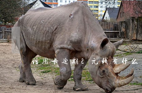 信用卡逾期2元钱有什么后果