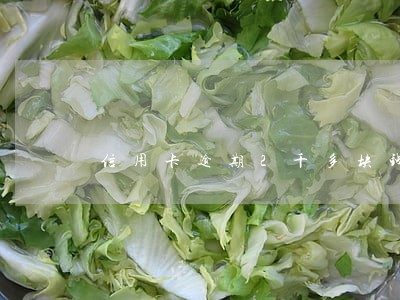 信用卡逾期2千多块钱 信用卡逾期2千多块钱