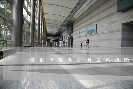 信用卡逾期2周怎么消除 信用卡逾期2周怎么消除