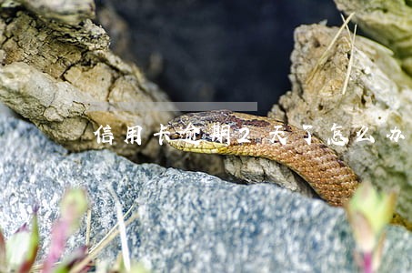 信用卡逾期2天了怎么办