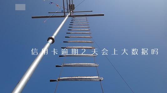 信用卡逾期2天会上大数据吗 信用卡逾期2天会上大数据吗