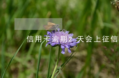 信用卡逾期2天会上征信 信用卡逾期2天会上征信