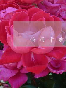 信用卡逾期2天会影响房贷吧 信用卡逾期2天会影响房贷吧