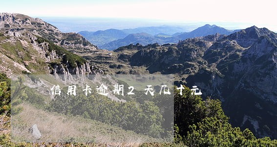 信用卡逾期2天几十元
