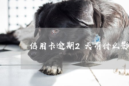 信用卡逾期2天有什么影响大吗