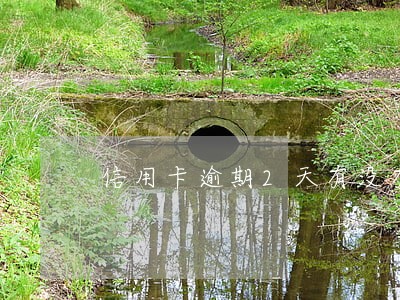 信用卡逾期2天有没有事情