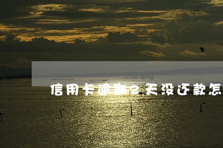 信用卡逾期2天没还款怎么 信用卡逾期2天没还款怎么