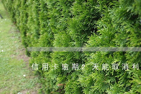 信用卡逾期2天能取消利息吗