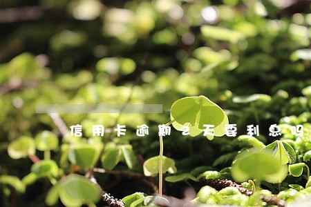 信用卡逾期2天要利息吗