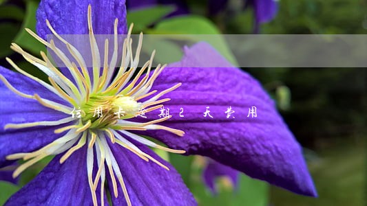 信用卡逾期2天费用