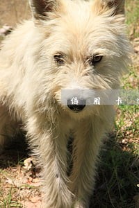 信用卡逾期2天还了最低 信用卡逾期2天还了最低