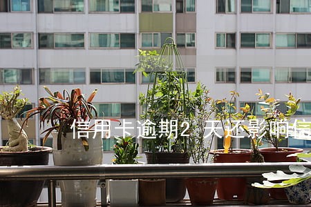 信用卡逾期2天还影响信用吗 信用卡逾期2天还影响信用吗