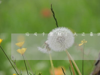 信用卡逾期2天还最低还款 信用卡逾期2天还最低还款