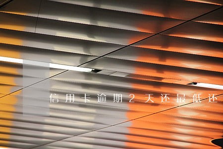 信用卡逾期2天还最低还款吗 信用卡逾期2天还最低还款吗
