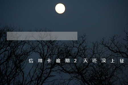 信用卡逾期2天还没上征信 信用卡逾期2天还没上征信