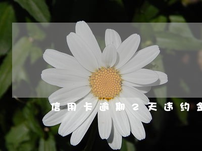信用卡逾期2天违约金多少 信用卡逾期2天违约金多少